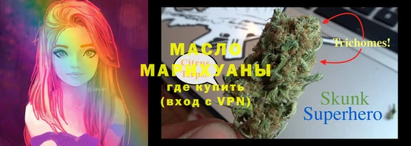 дмт Аркадак