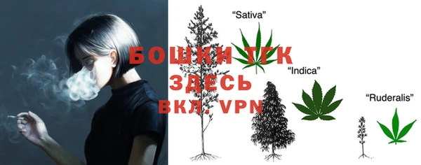 гидра Протвино